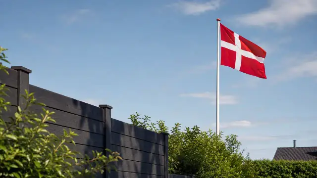 Flag & Vimpler